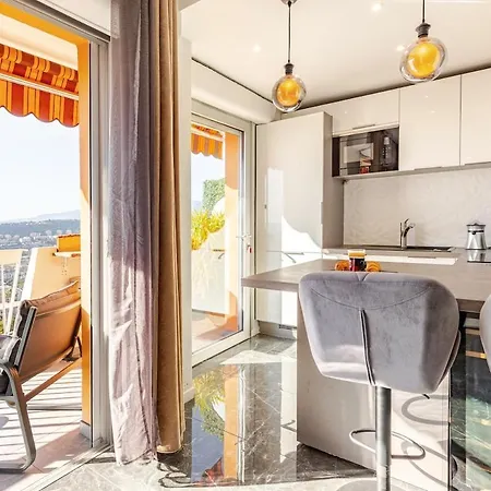 Vue Et Montagne Panoramique ניס